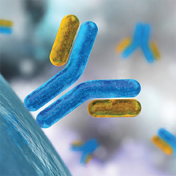 Accessory Reagents & QC Standards